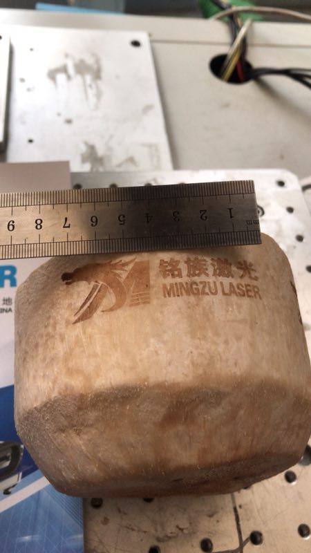 椰子激光打標 椰子激光打標